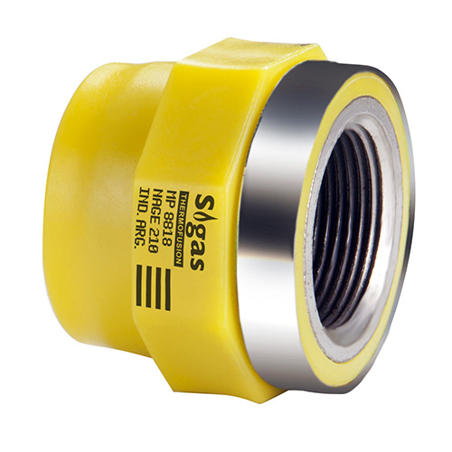 TRANSICIÓN HEMBRA - SIGAS.